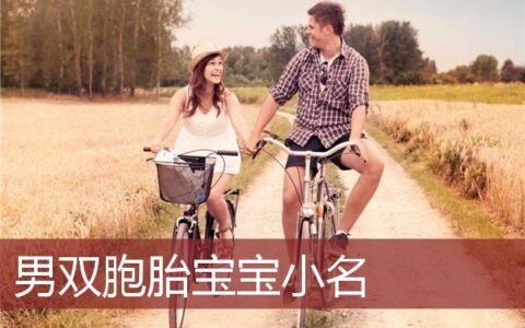 男双胞胎宝宝小名叫什么