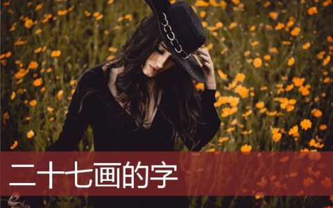 姓名笔划二十七画的字