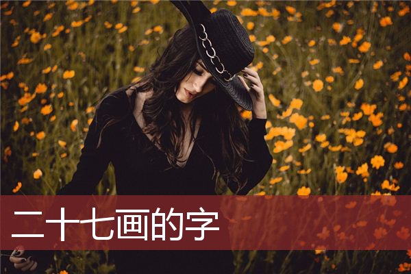 二十七画的字    