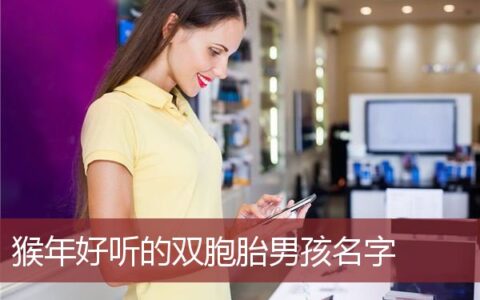 猴年好听的双胞胎男孩名字