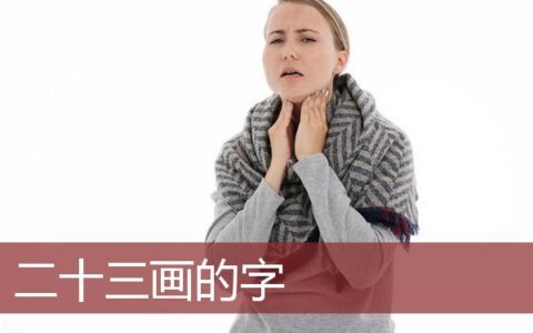二十三画的字