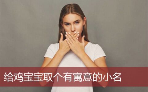 给鸡宝宝取个有寓意的小名字