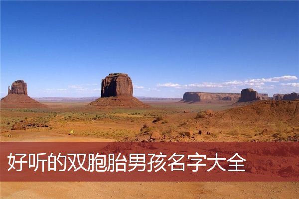 好听的双胞胎男孩名字大全  