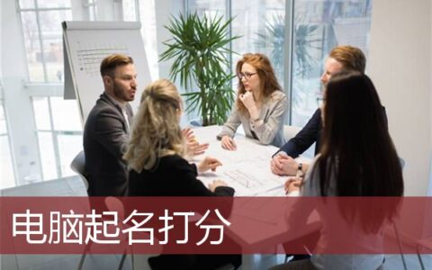 电脑起名打分