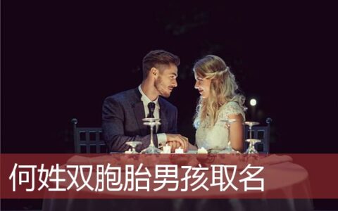何姓双胞胎男孩取名