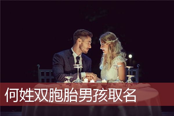何姓双胞胎男孩取名