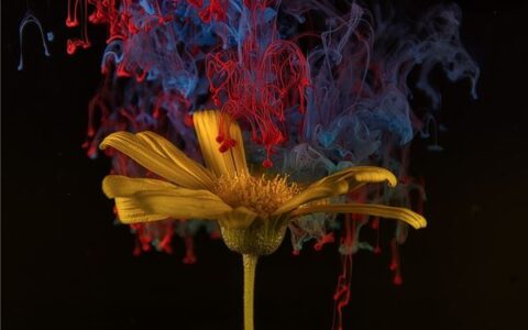 画室起名字大全免费2022