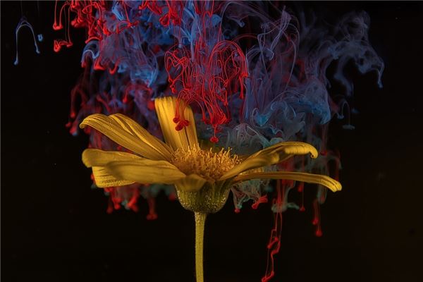 画室起名字大全免费2022