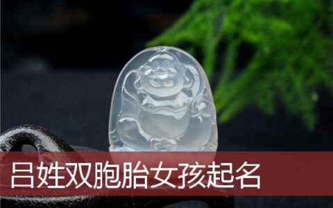吕姓双胞胎女孩起名