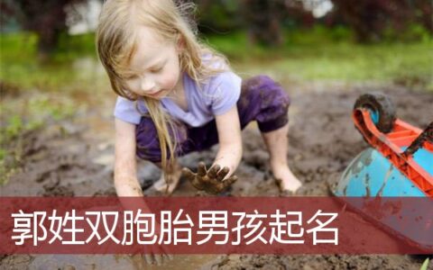 郭姓双胞胎男孩起名