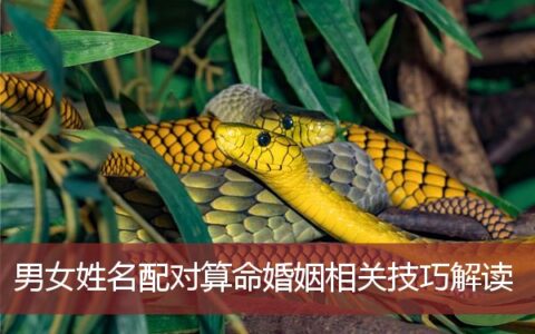 男女姓名配对算命婚姻相关技巧解读