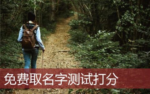 免费取名字测试打分