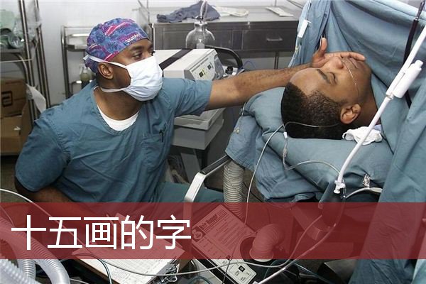 十五画的字 