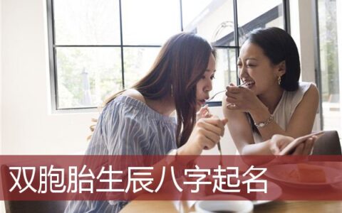 双胞胎生辰八字起名