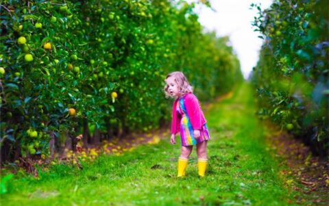 好听的英文名字分享