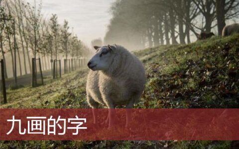 九画的字