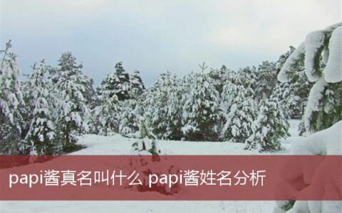 papi酱真名叫什么,papi酱姓名分析