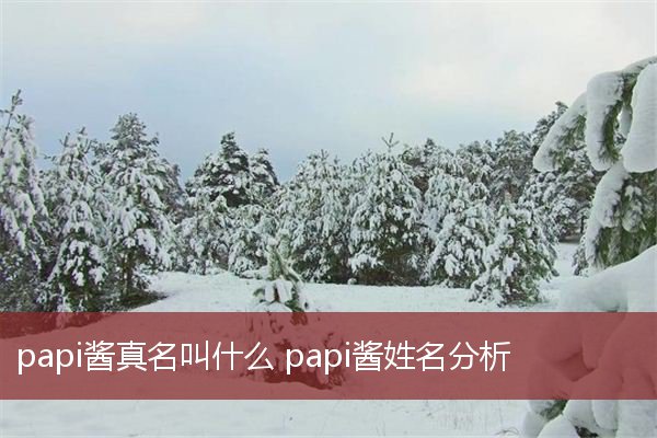 papi酱真名叫什么 papi酱姓名分析