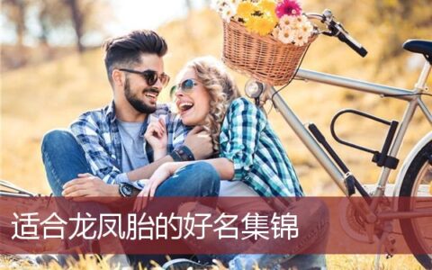 适合龙凤胎的好名集锦