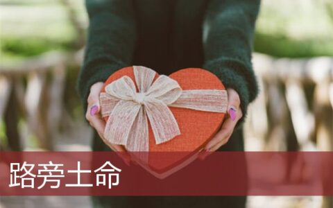 路旁土命是什么意思