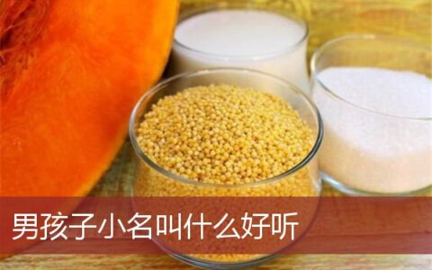 男孩子小名叫什么好听又可爱