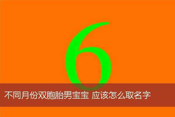 不同月份双胞胎男宝宝 应该怎么取名字