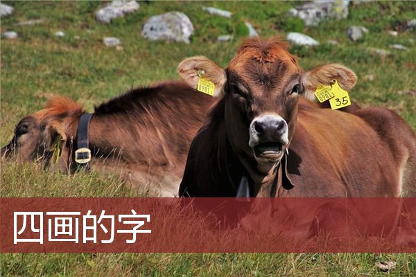 四画的字 
