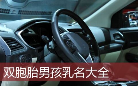 双胞胎男孩乳名大全