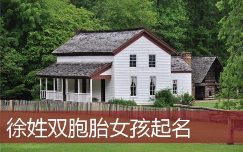 徐姓双胞胎女孩起名
