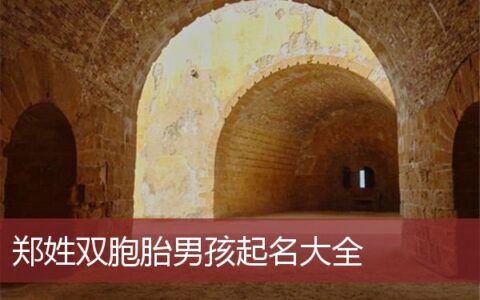 郑姓双胞胎男孩起名大全