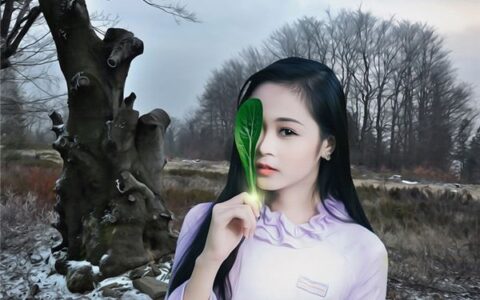 时尚的英文名字大全