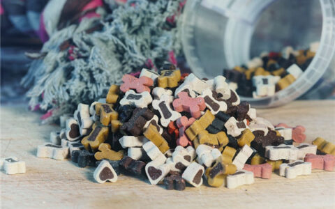 又顺利又有财气的饲料店名字(你绝对想不到的)