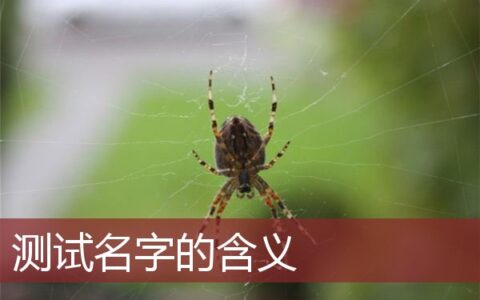 测试名字的含义