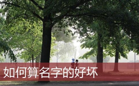 如何算名字的好坏