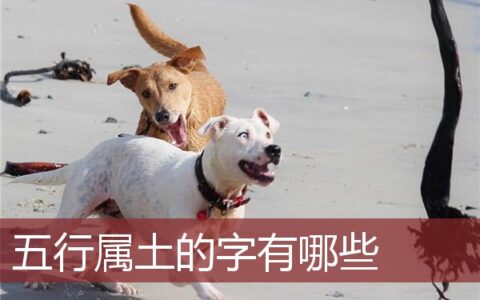 五行属土的字有哪些