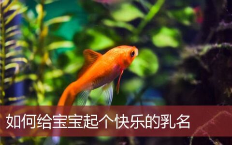 如何给宝宝起个快乐的乳名两个字
