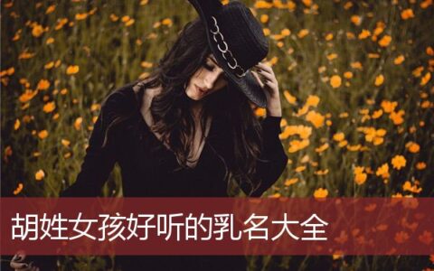 胡姓女孩好听的乳名大全