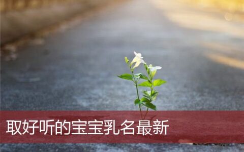 最新最好听的宝宝乳名大全文库