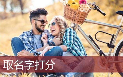 取名字打分