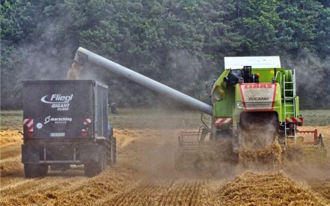 大气又低调的农业公司名字