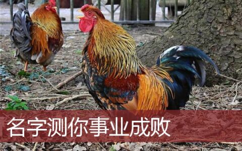 名字测你事业成败