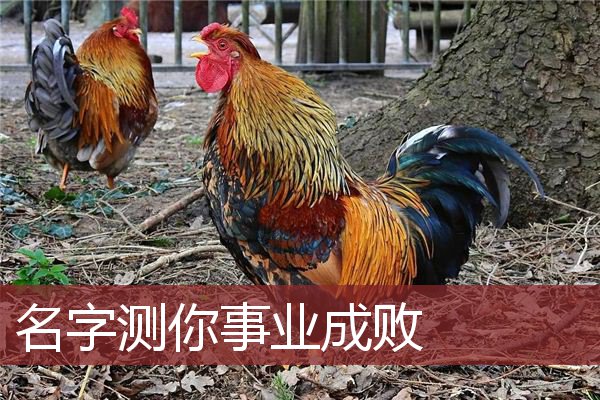 名字测你事业成败