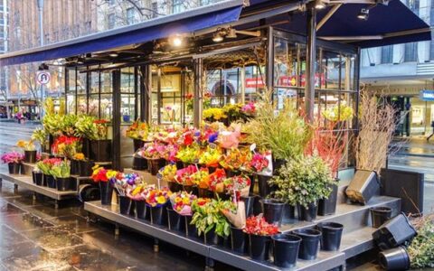 大气又低调的鲜花店名字