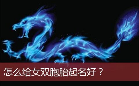 怎么给女双胞胎起名好？