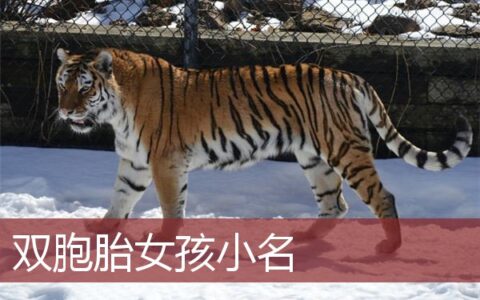 双胞胎女孩小名