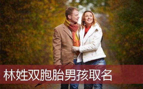 林姓双胞胎男孩取名