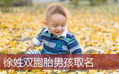 徐姓双胞胎男孩取名