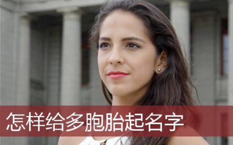 怎样给多胞胎起名字