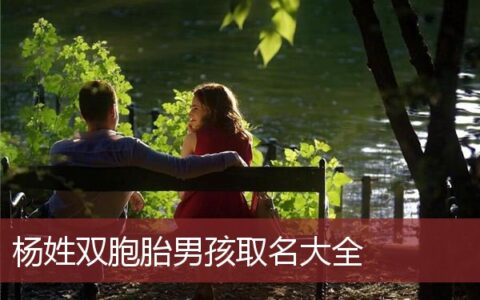 杨姓双胞胎男孩取名大全