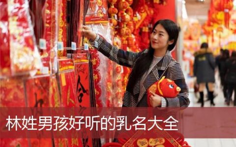 林姓男孩好听的乳名大全